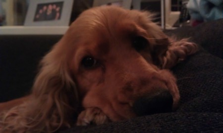 Niet Bobby maar Rusty